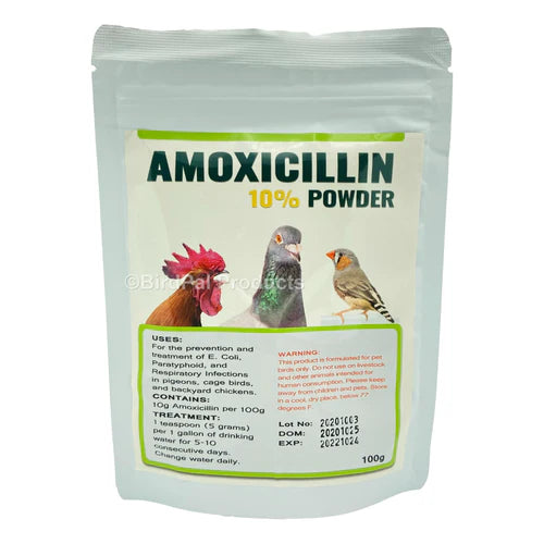 Amoxicillin