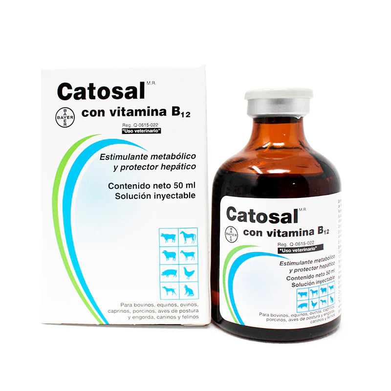 Catosal with Vitamin B12 50 ml