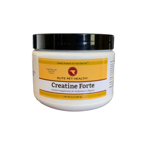 CREATINE FORTE