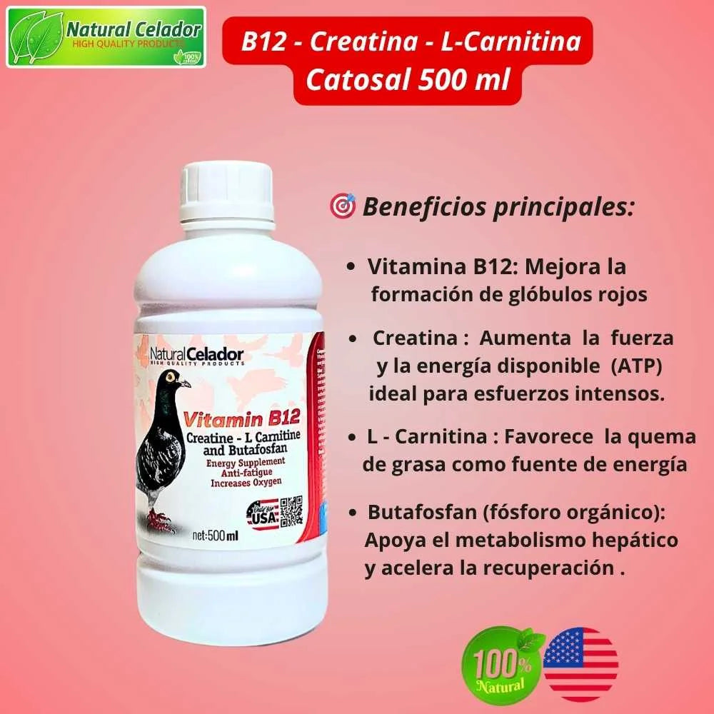 Vitamin B12 Creatin - L Carnitine and Butafosfan - Natural Celador