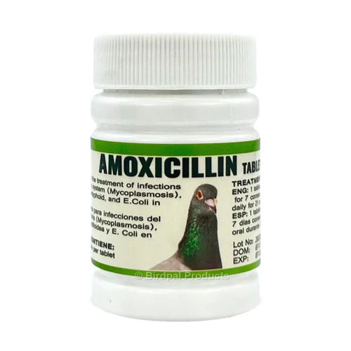 Amoxicillin