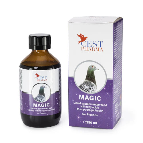 Magic - for Excellent All-Year Health