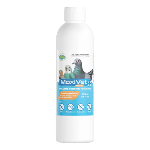 MoxiVet Plus - Moxidectin + Praziquantel Parasite Control for Birds