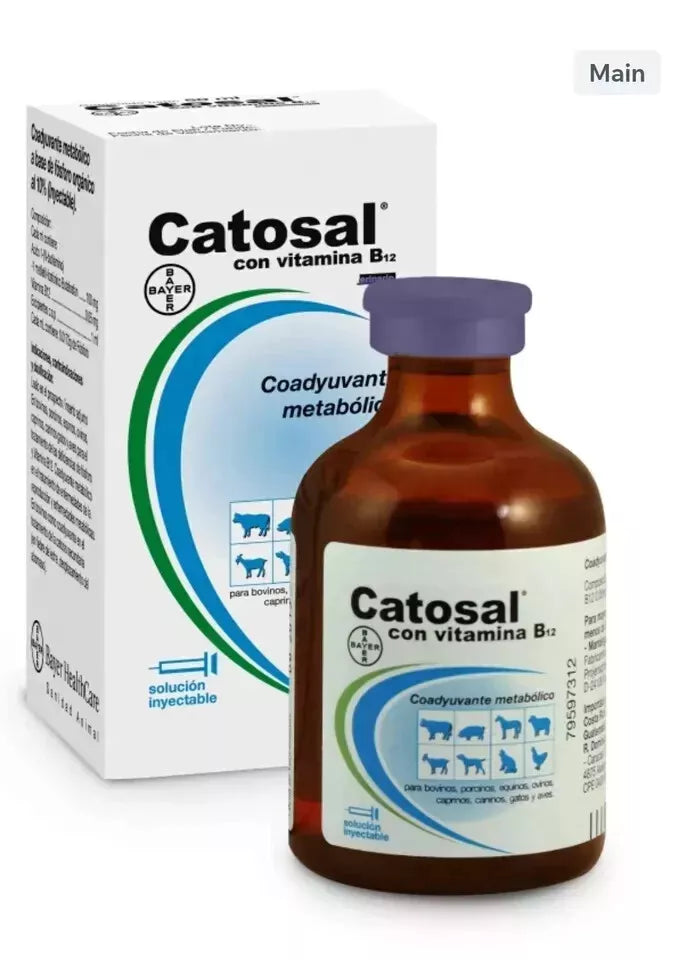 Catosal with Vitamin B12 50 ml