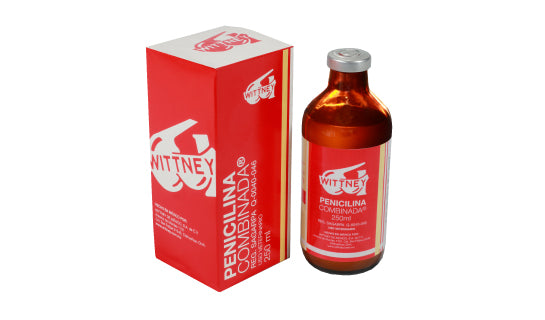 Penicilina combinada