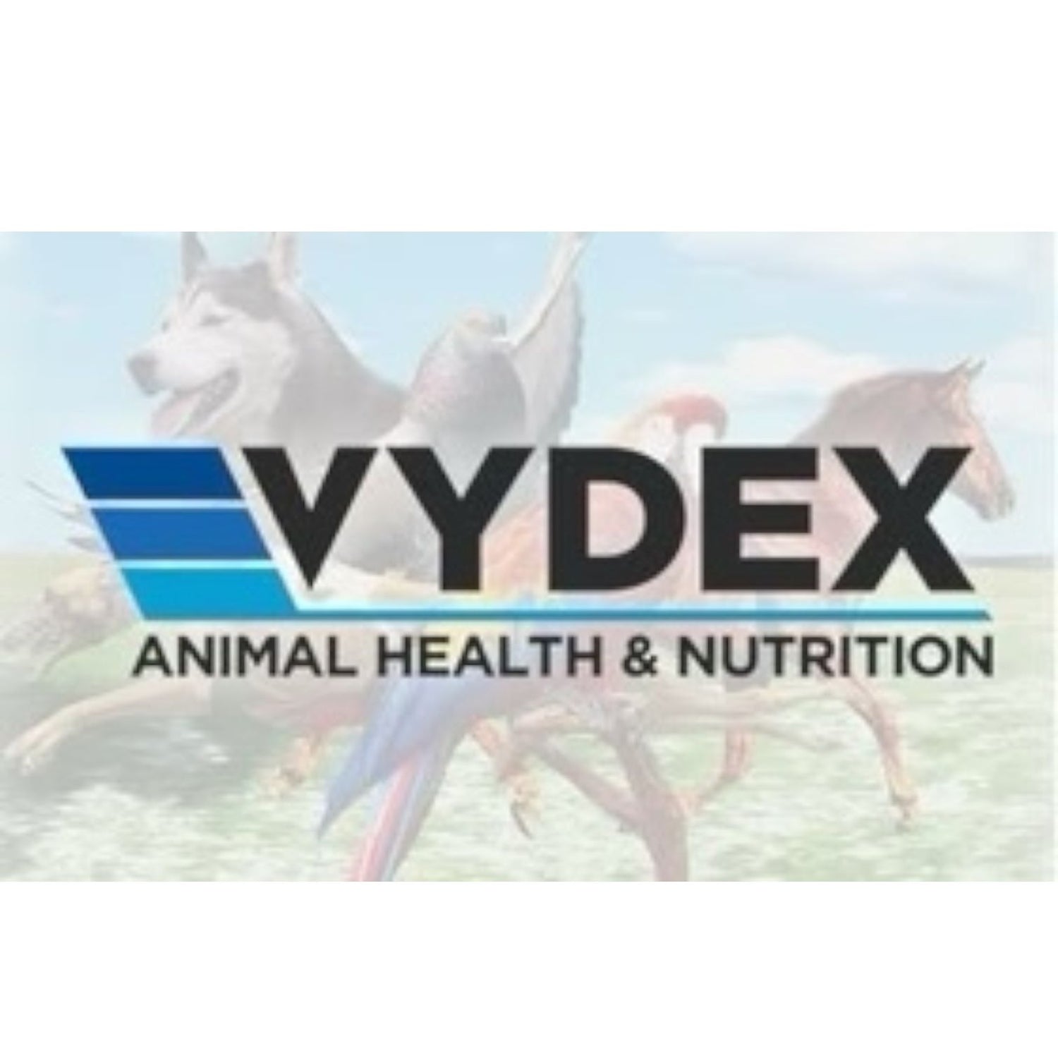 Vydex