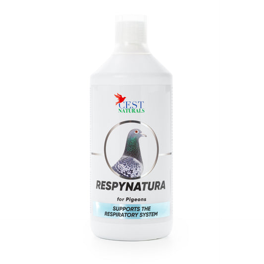 RESPYNATURA 1000 ml