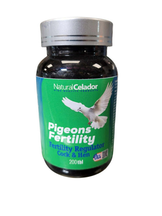 Pigeons Fertility
