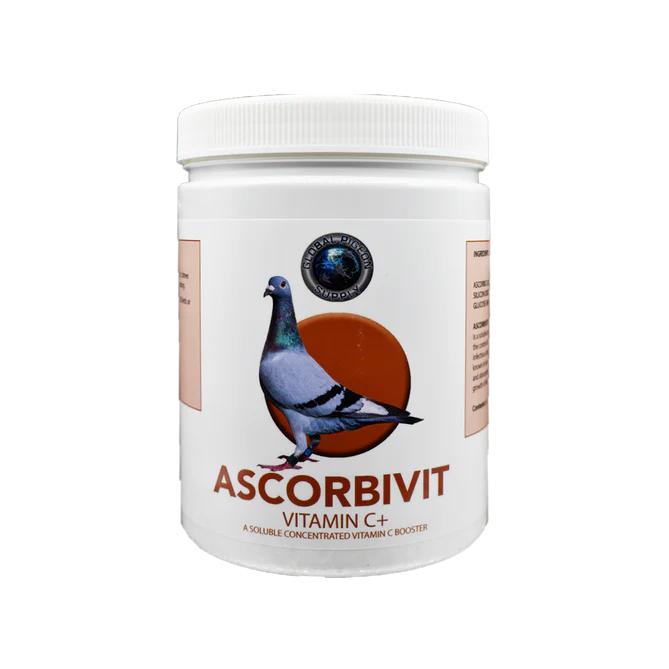 Ascorbivit 