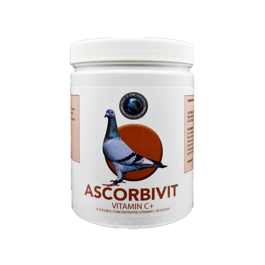 Ascorbivit 