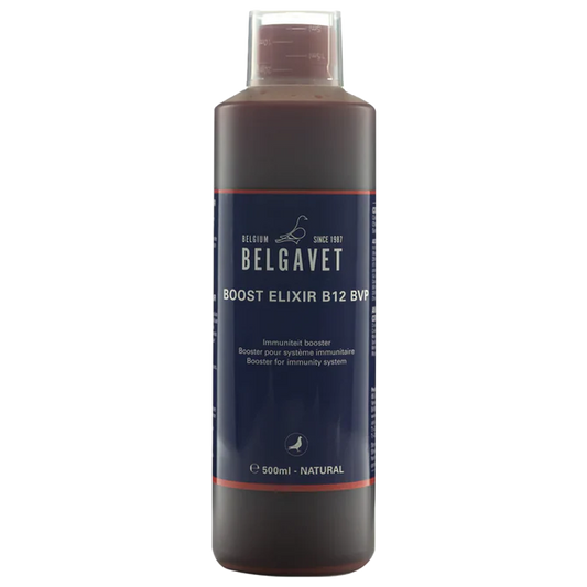 BELGAVET Boost Elixir B12 BVP