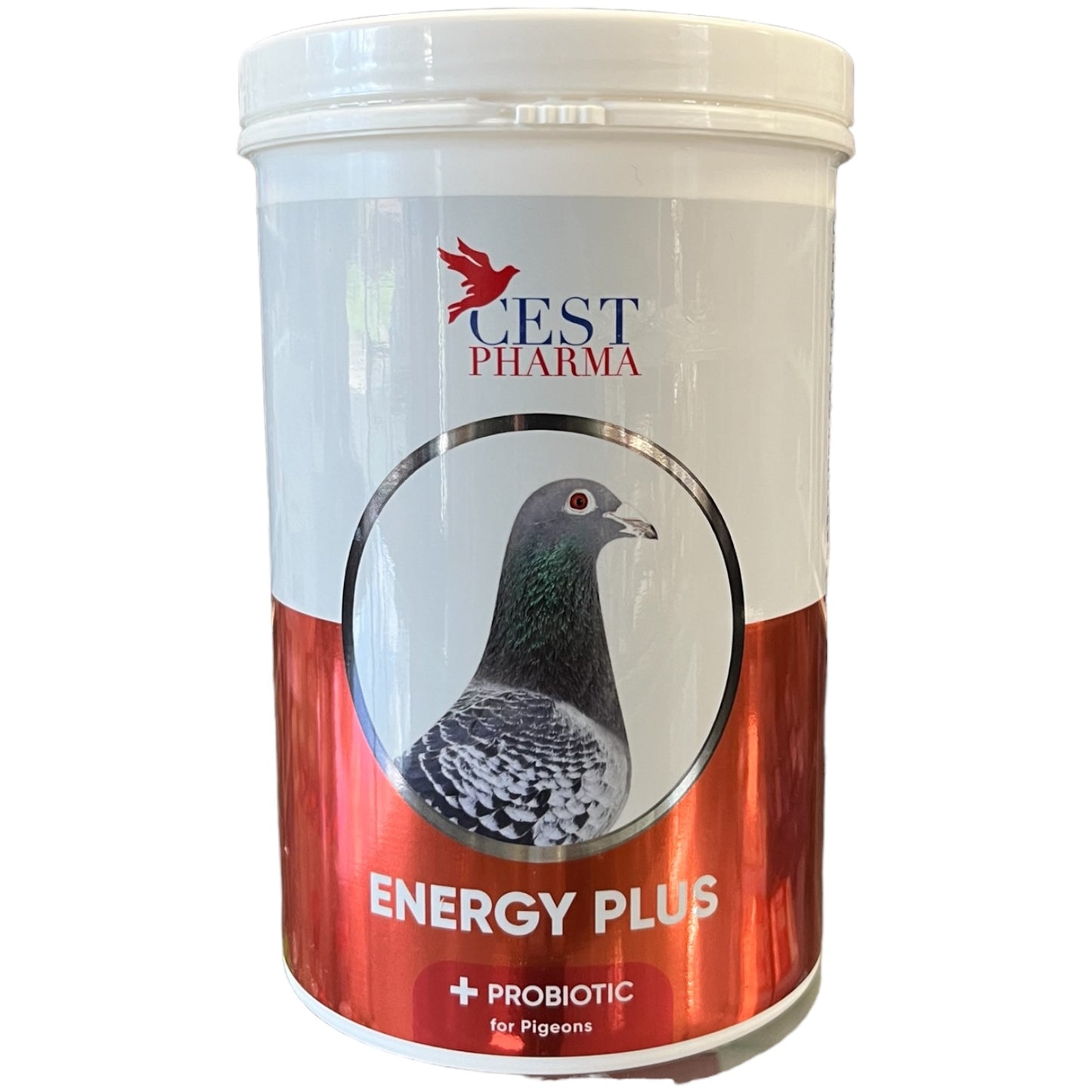 Energy Plus