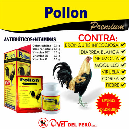 Pollon Powder