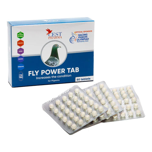 Fly Power Tab - Increases Conditioning 