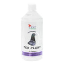 Cest TKK Plant - All-Natural Solution for Pigeon Diseases