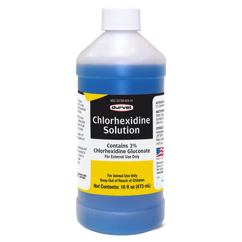 Chlorhexidine Solution Disinfectant (Generic Nolvasan) - 16 oz