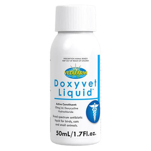 Doxyvet Liquid for Birds, Dogs, Cats &amp; Rats 