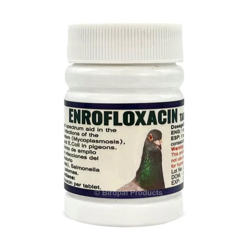 Enrofloxacin 10% for Birds (Generic Baytril) 