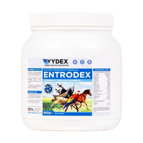 Entrodex - Soluble Probiotic for a Healthy Gut 